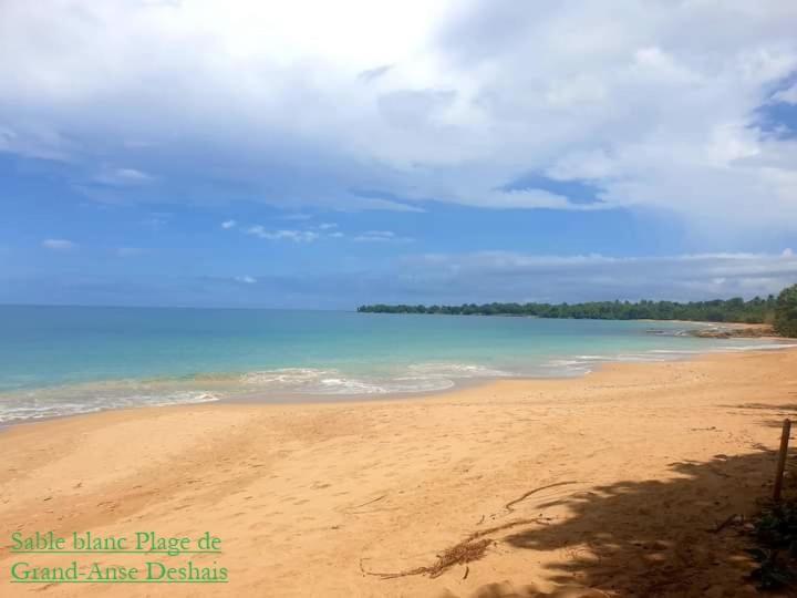 Villa Campeche بويانت المظهر الخارجي الصورة